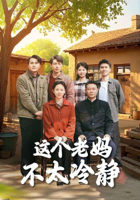 这个老妈不太冷静 海报