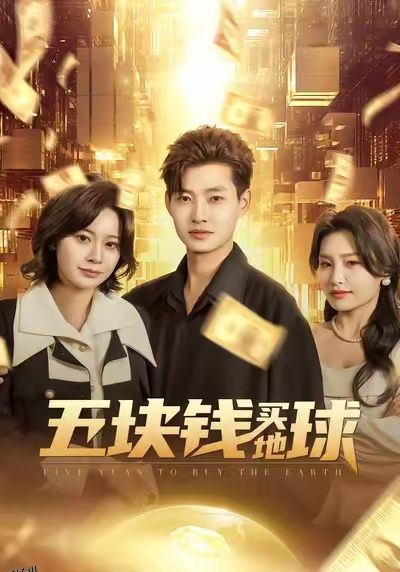 五块钱买地球 海报