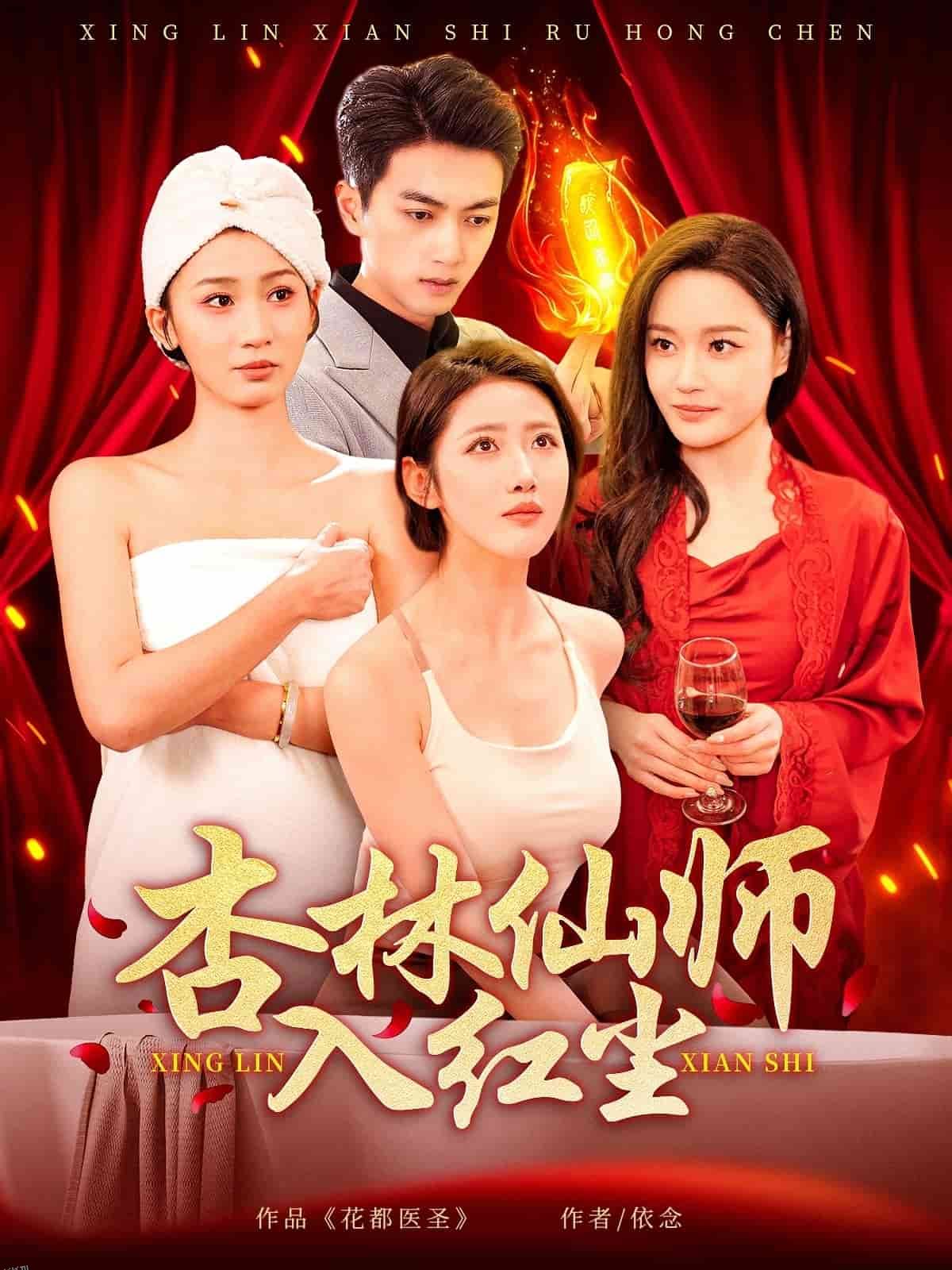 杏林仙师入红尘 海报