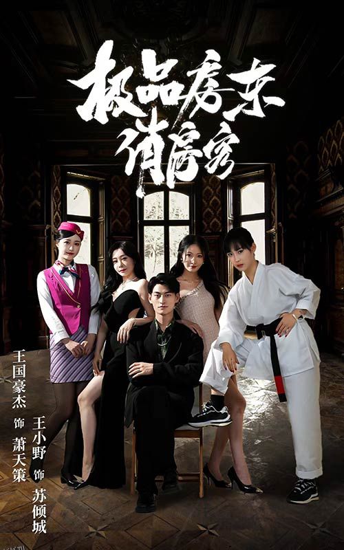 极品房东俏房客 海报