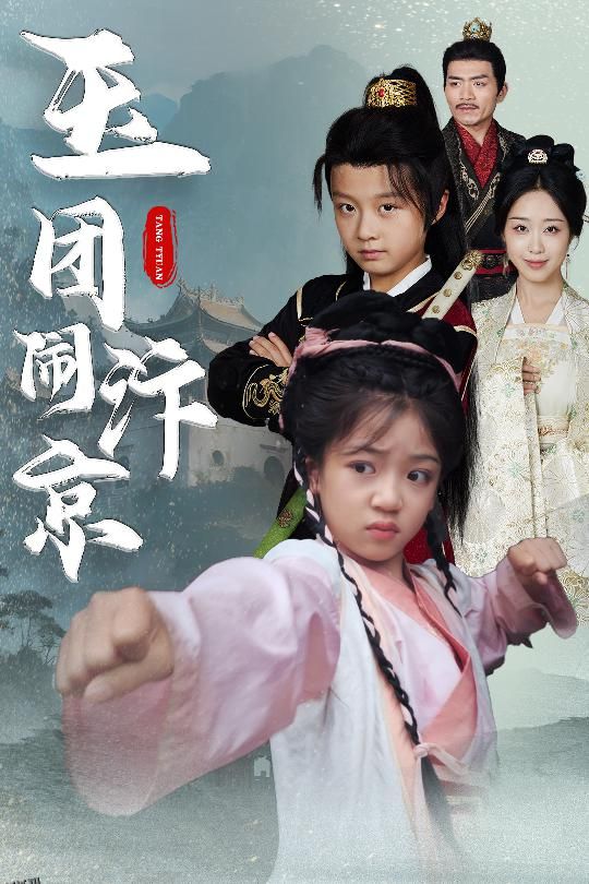 玉团闹汴京 海报