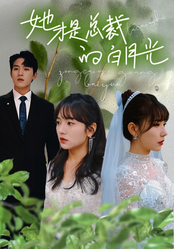 她才是总裁的白月光 海报