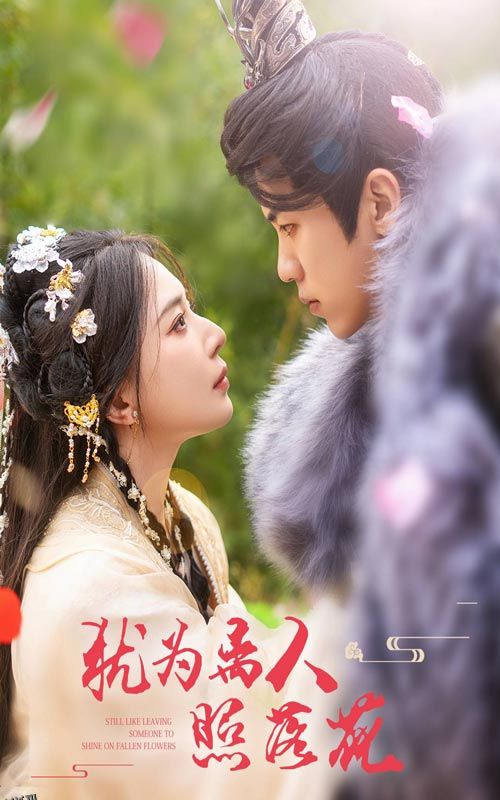 犹为离人照落花 海报