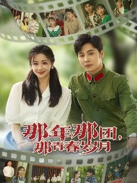 那年那团那青春岁月 海报