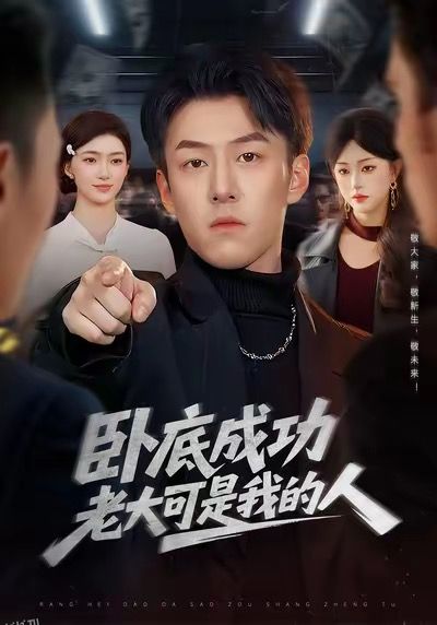卧底成功老大可是我的人 海报
