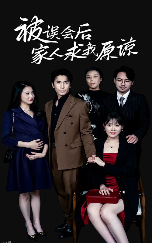 被误会后家人求我原谅 海报