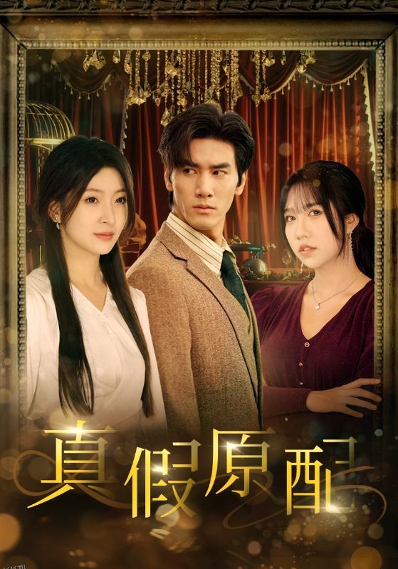 真假原配 海报