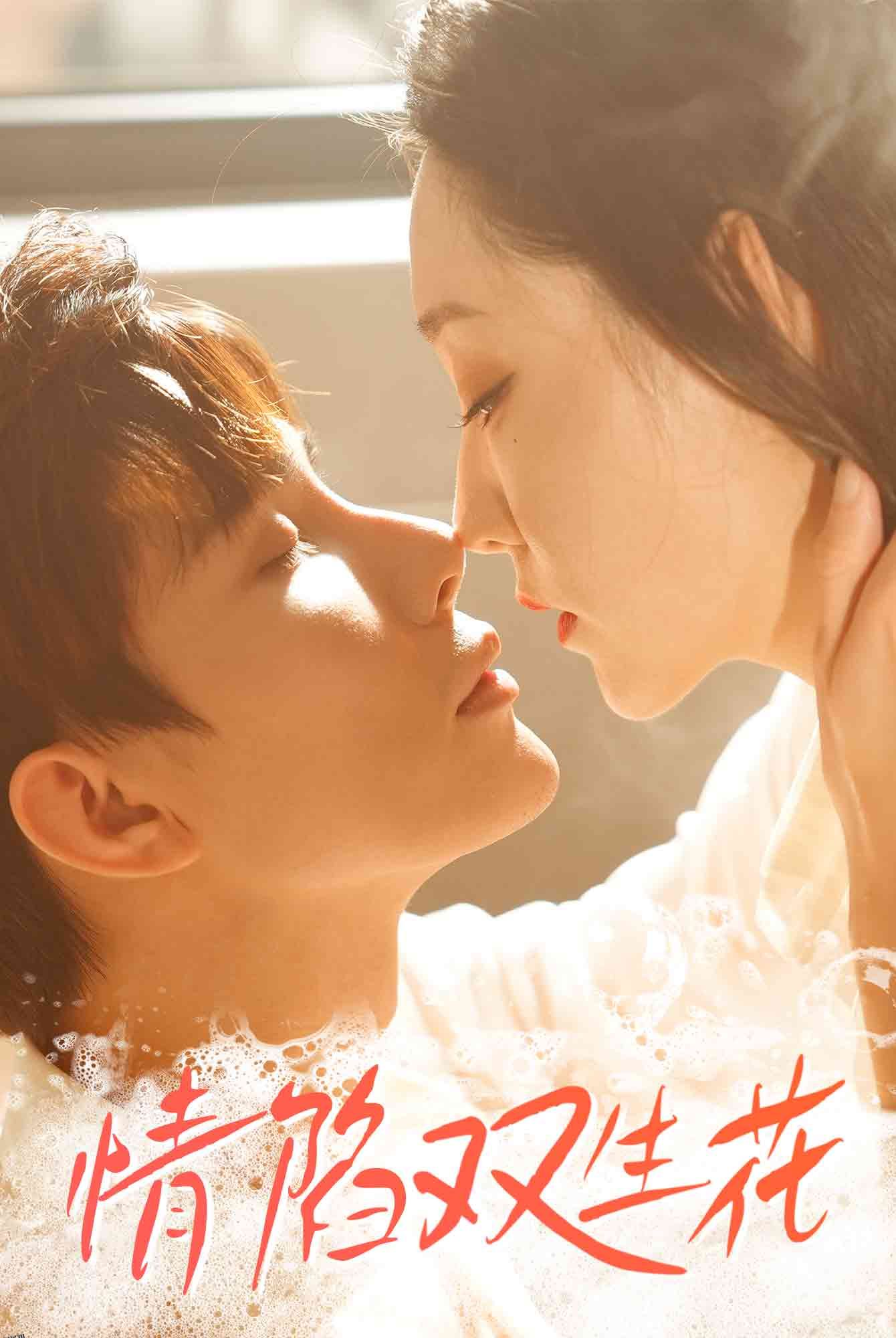 情陷双生花 海报