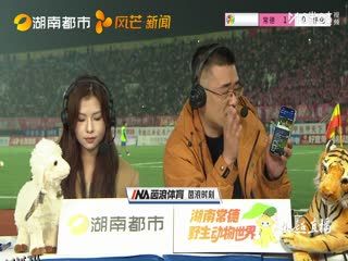 湖南省足球联赛 常德队VS怀化队 20251031 海报