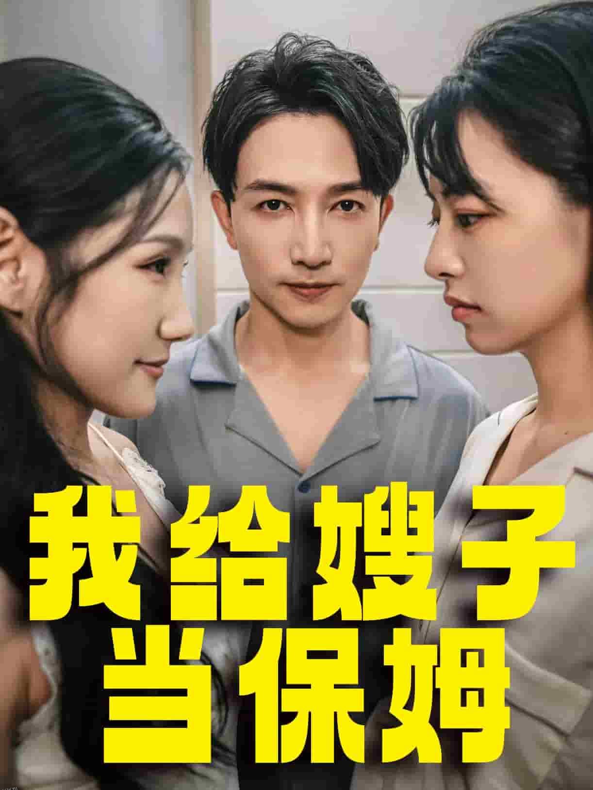 我给嫂子当保姆 海报