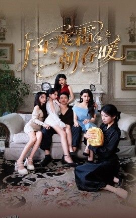 十年寒霜一朝春暖 海报