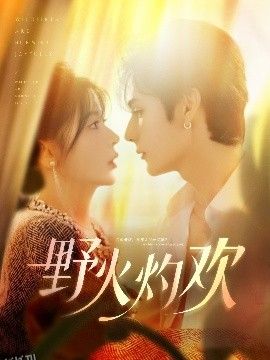 野火灼欢 海报
