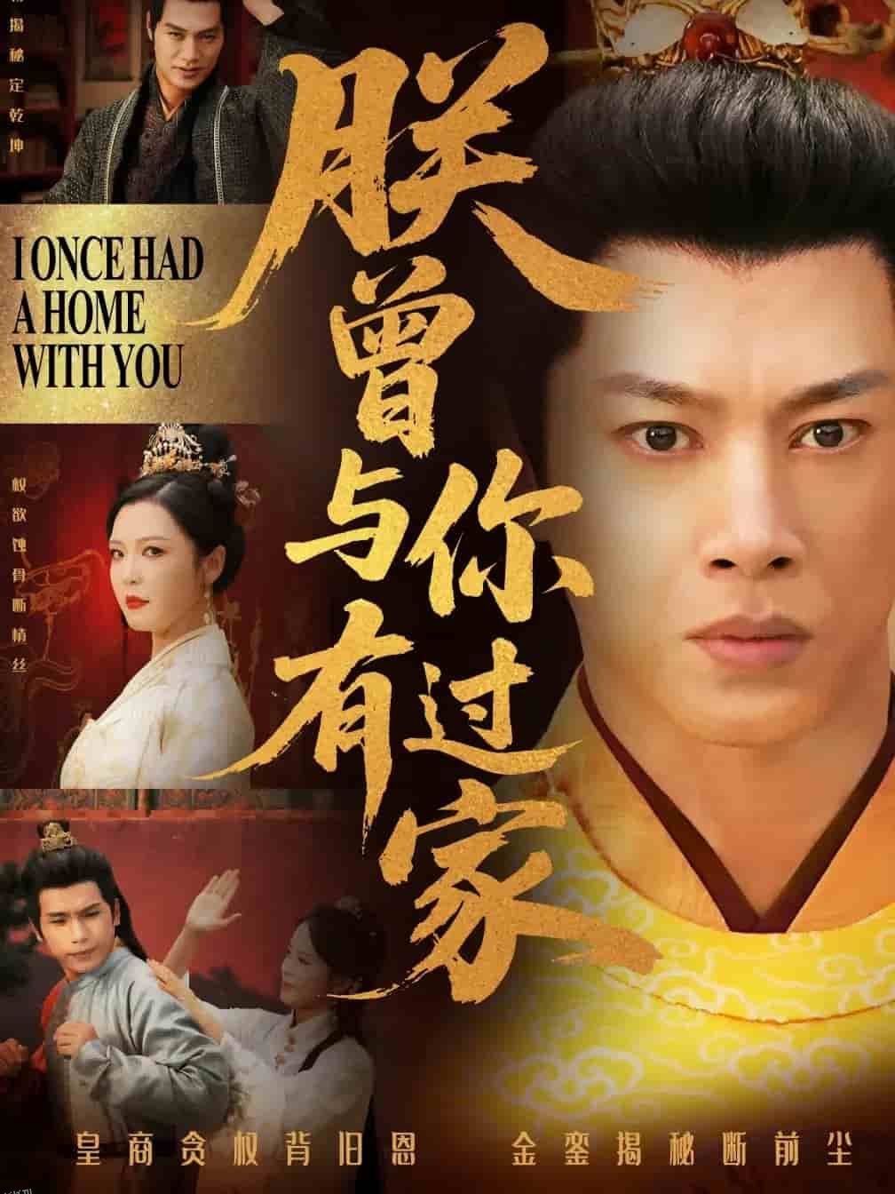 朕曾与你有过家 海报