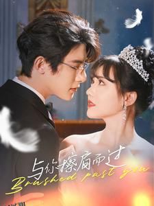 与你擦肩而过 海报