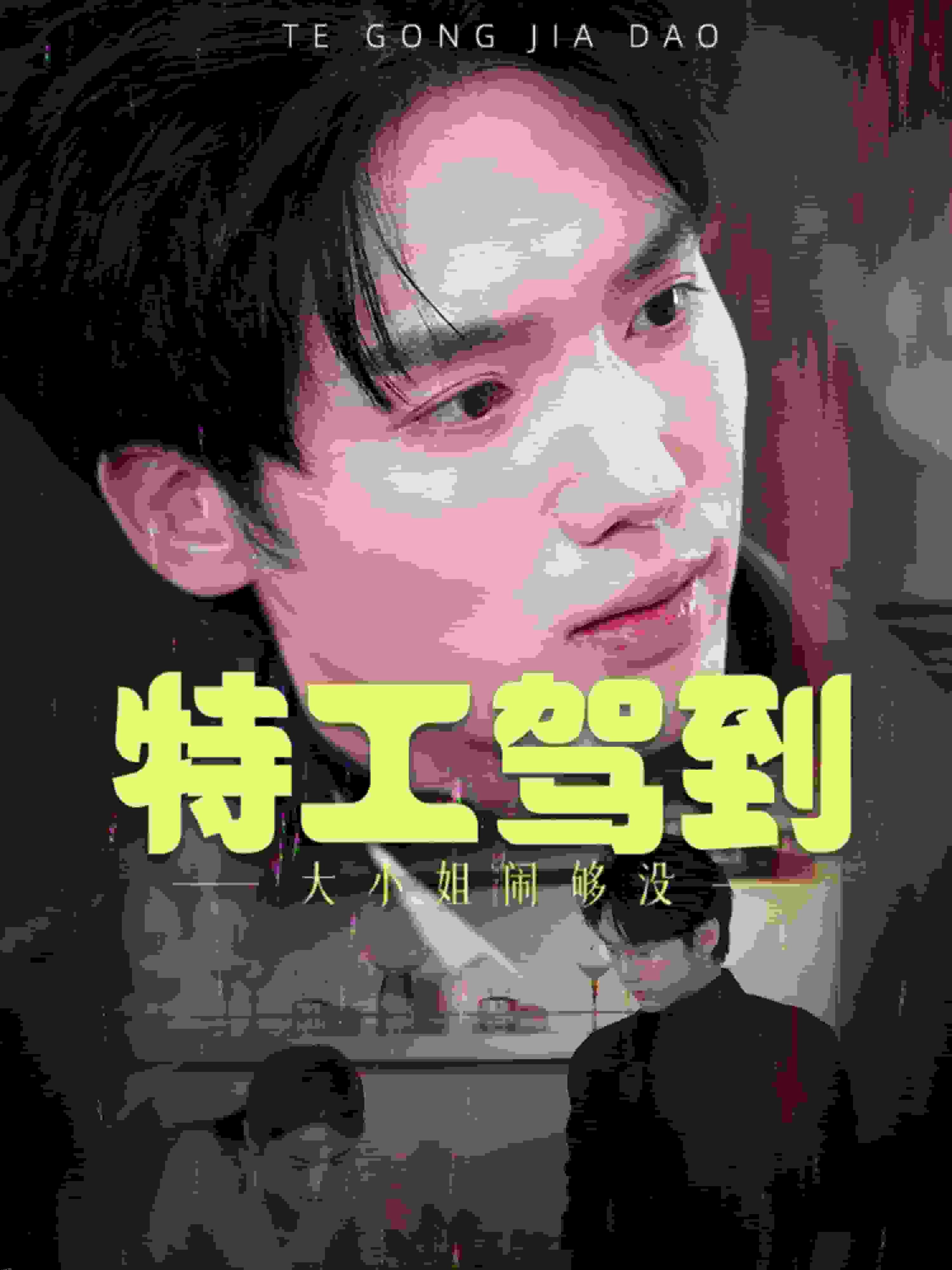 特工驾到大小姐别闹了 海报