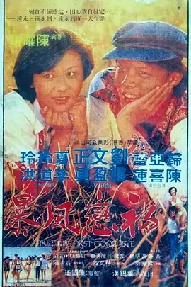 初恋风暴1978 海报