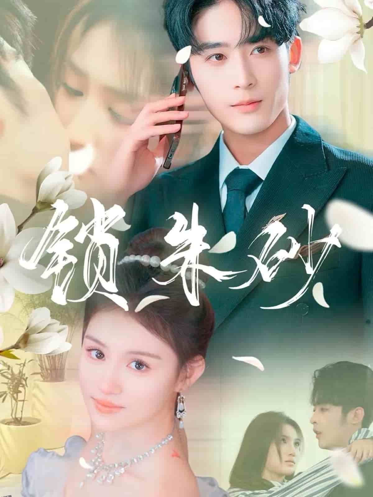 在火焰尽头等你 海报