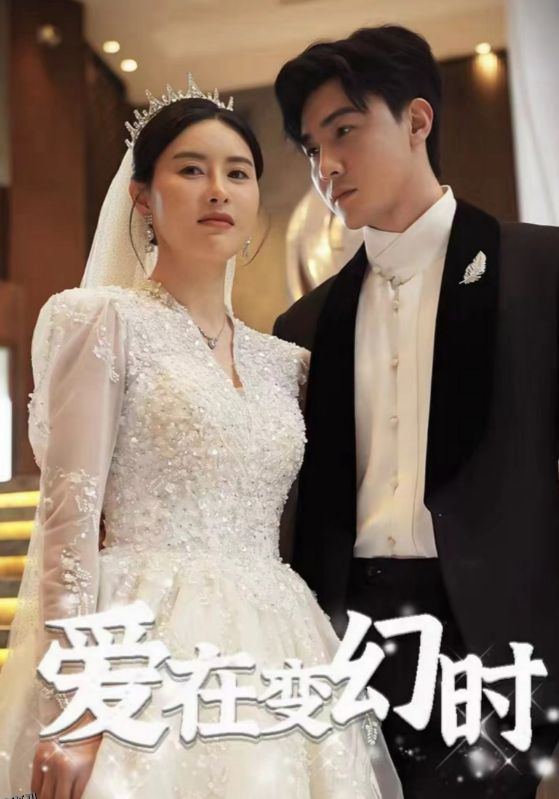 爱在变幻时 海报