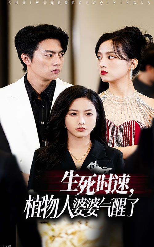 生死时速植物人婆婆气醒了 海报