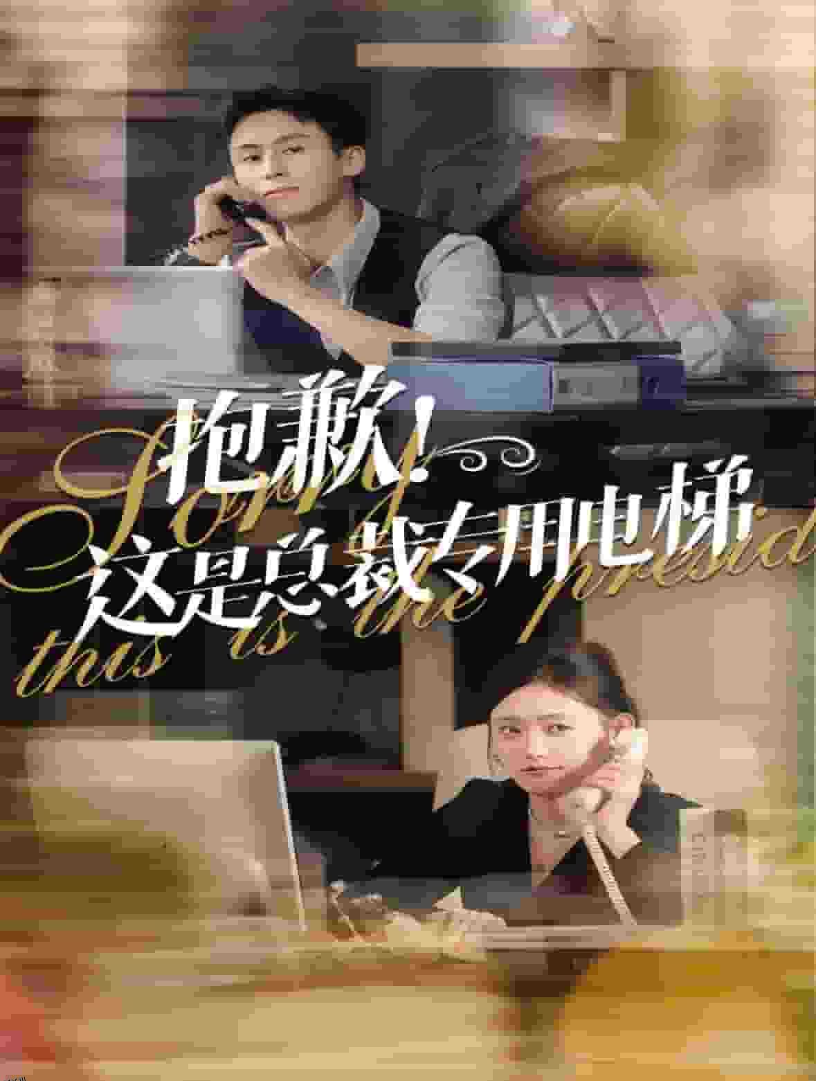 抱歉这是总裁专用电梯 海报