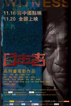 目击者2012 海报