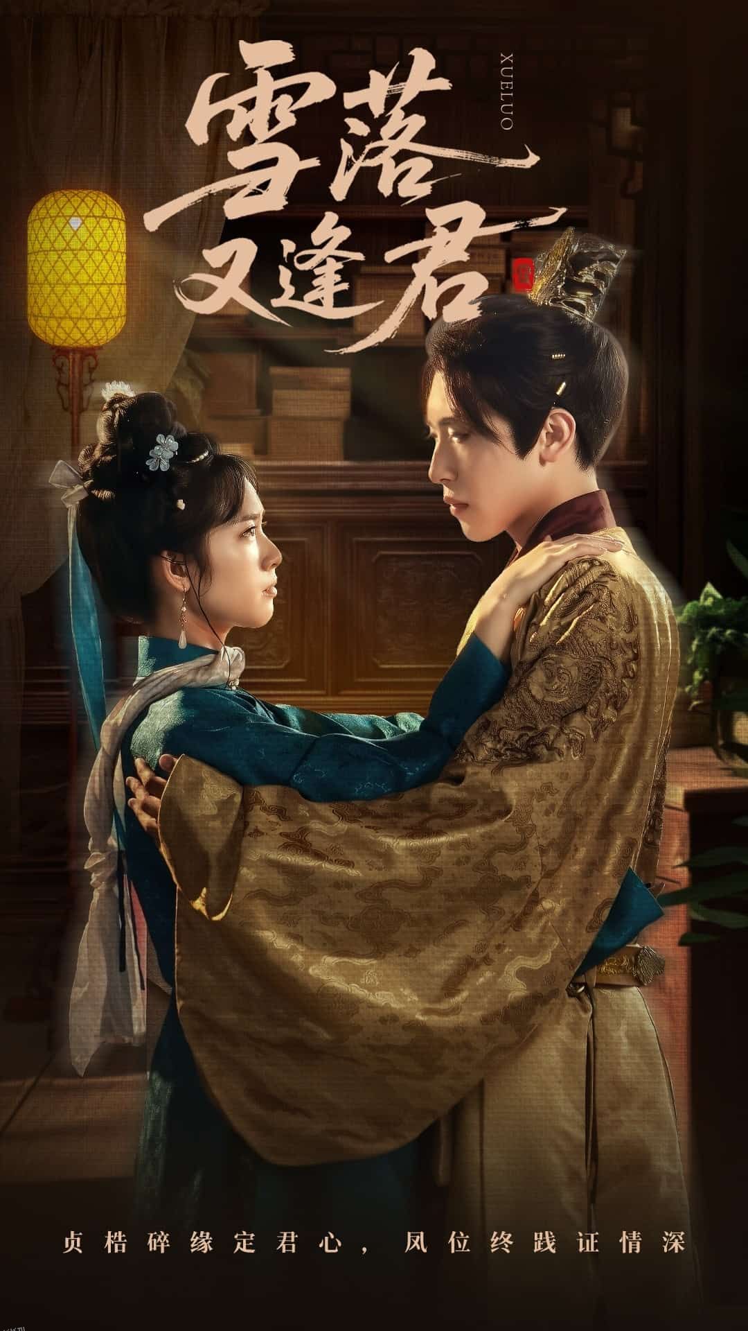 雪落又逢君 海报