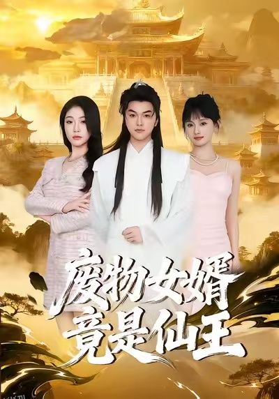 废物女婿竟是仙王 海报