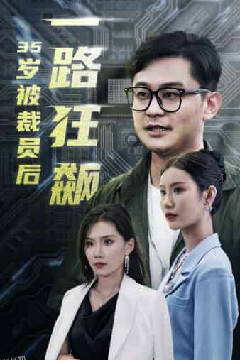 35岁被裁员后一路狂飙 海报