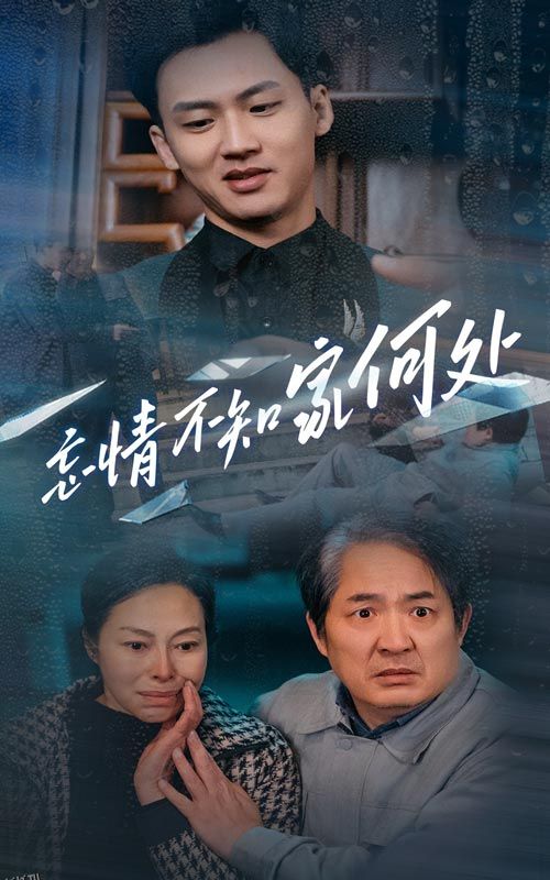 忘情不知家何处 海报