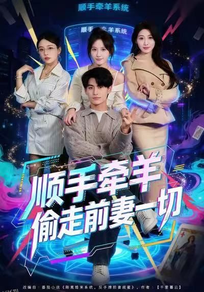 顺手牵羊偷走前妻一切 海报