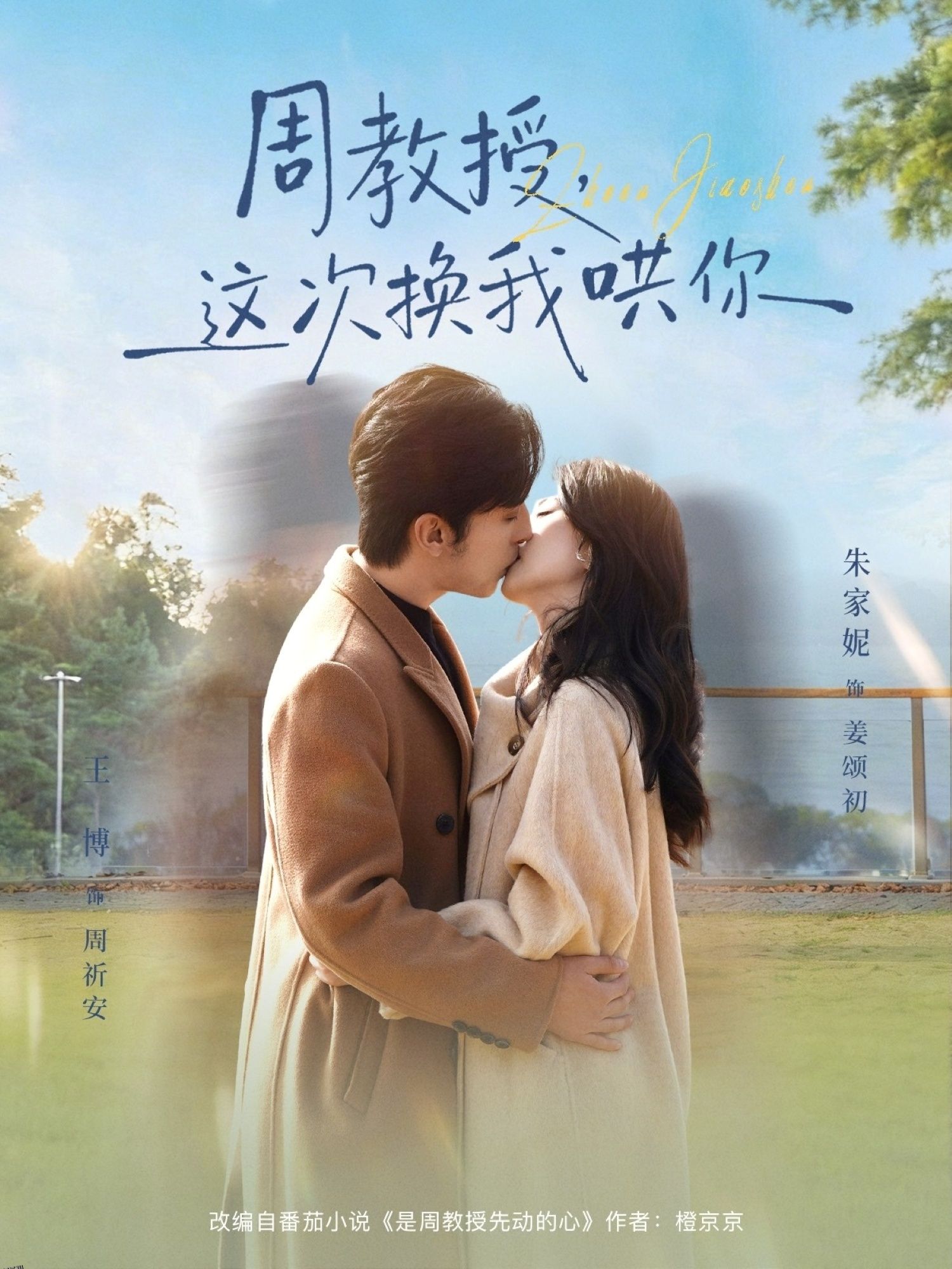 周教授，这次换我哄你 海报