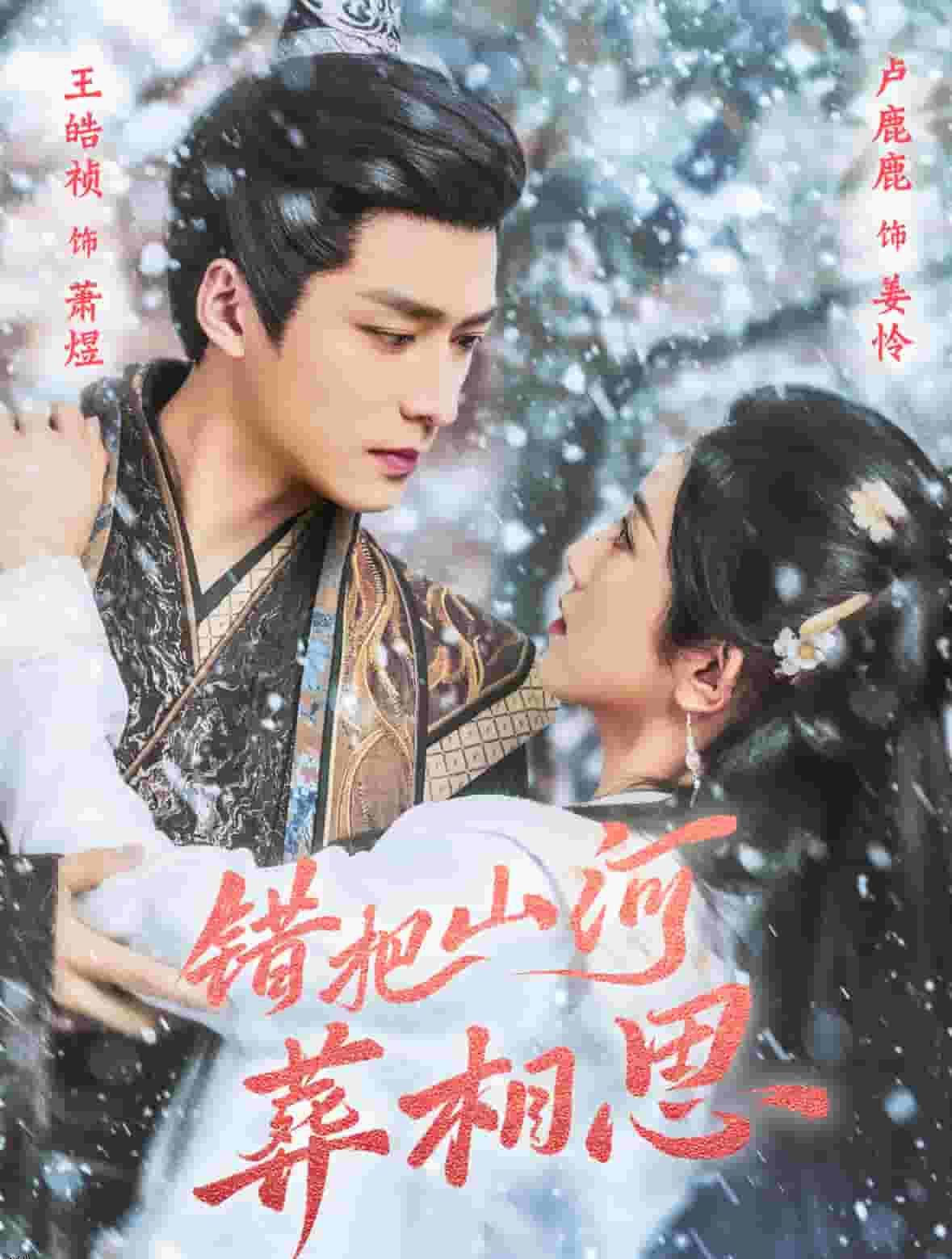 错把山河葬相思 海报