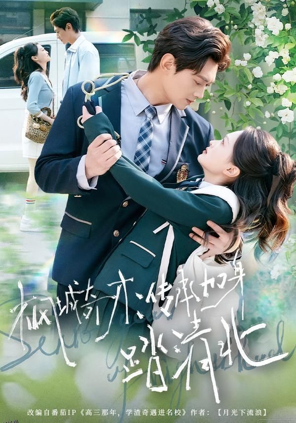 枫城奇才：传承加身踏清北 海报