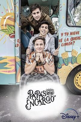 三个老爸的护花之旅 海报