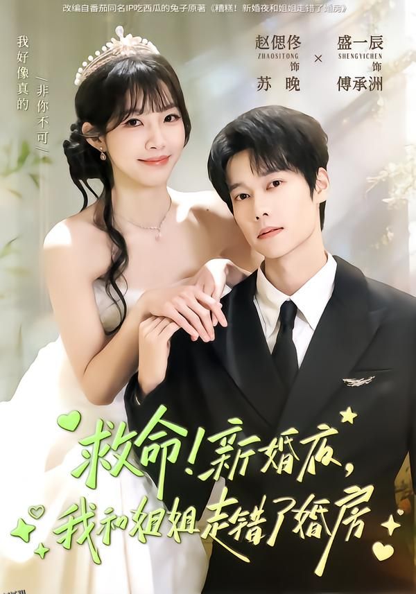 救命！新婚夜，我和姐姐走错了婚房 海报