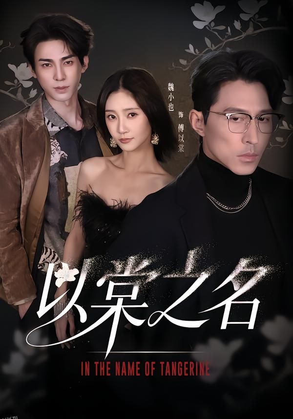 以棠之名 海报