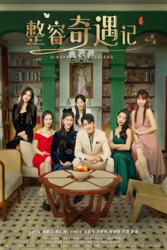 整容奇遇记 海报