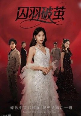 囚羽破茧 海报