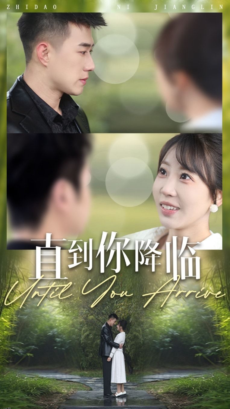 直到你降临 海报