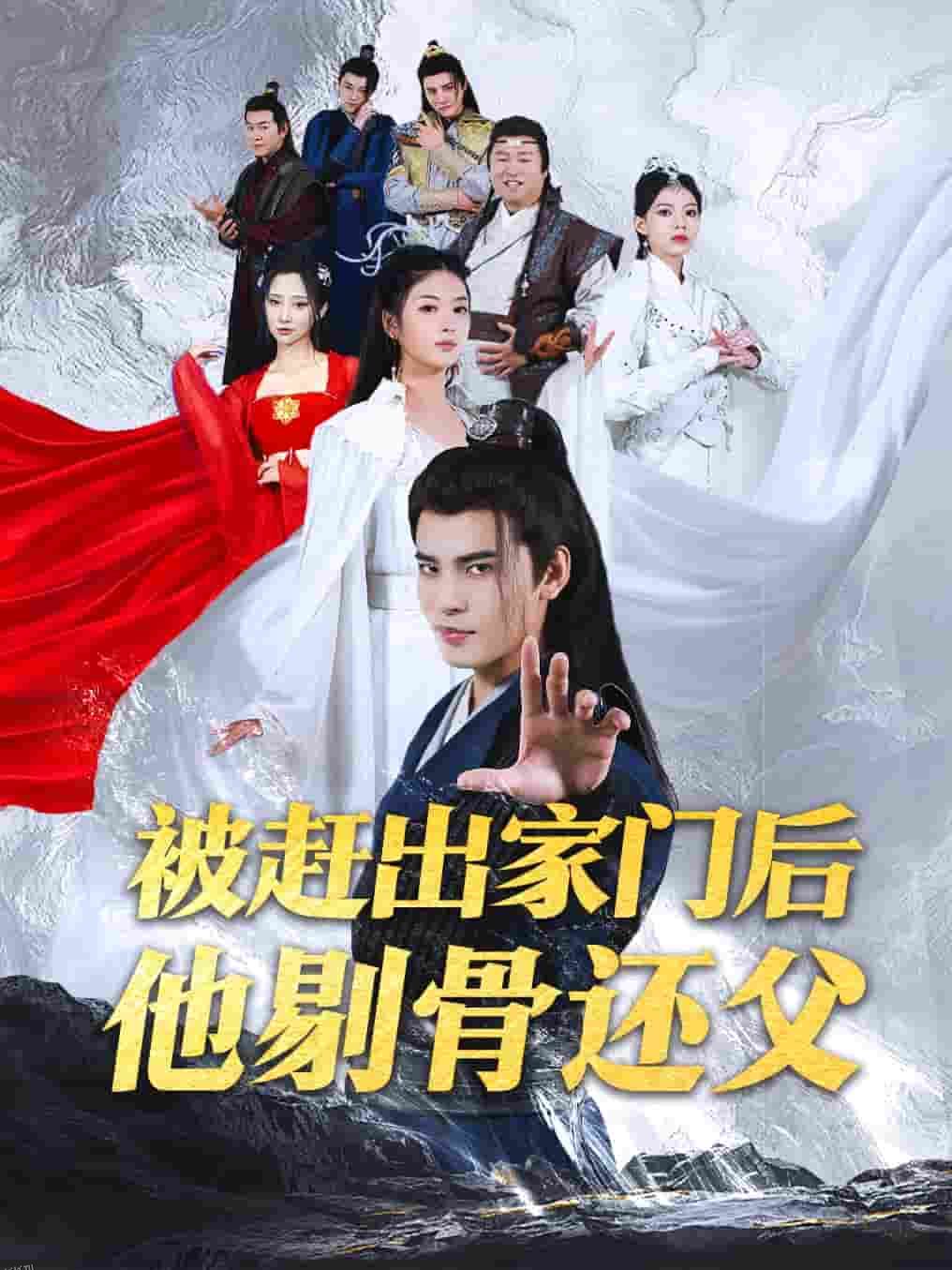 被赶出家门后他剔骨还父 海报