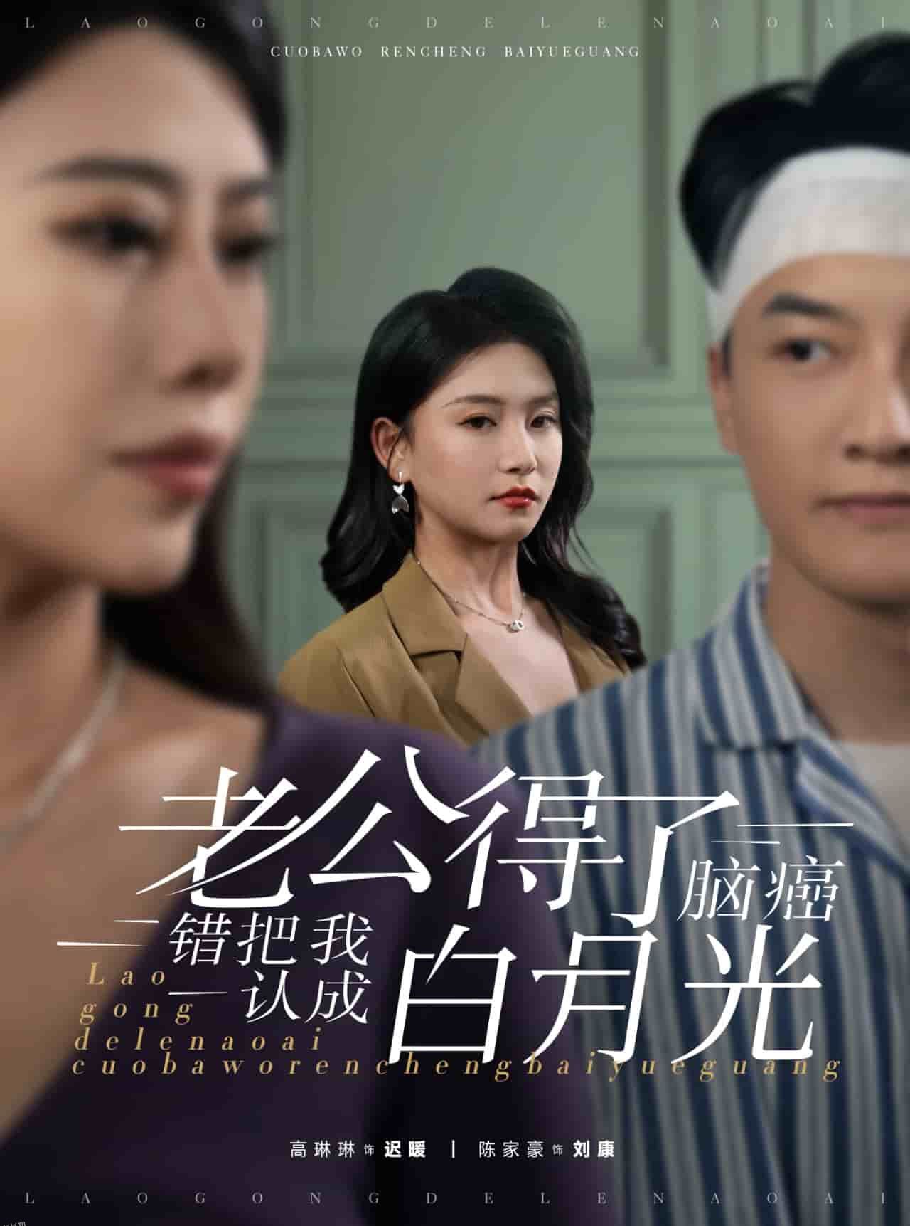 老公得了脑癌错把我认成白月光 海报