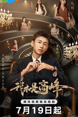 我本是高峰 海报