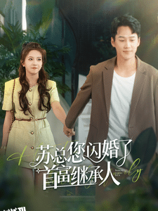 苏总您闪婚了首富继承人 海报