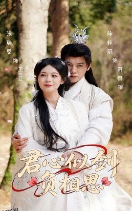 君心似剑负相思 海报