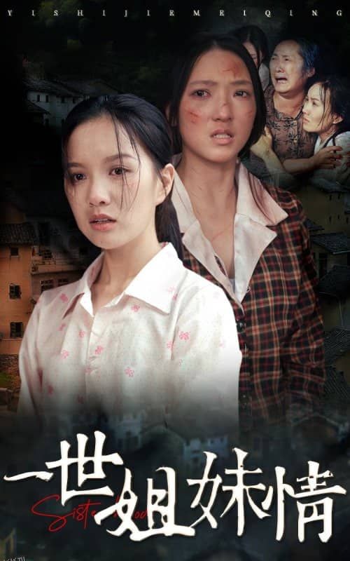 一世姐妹情 海报