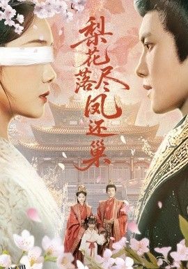 梨花落尽凤还巢 海报