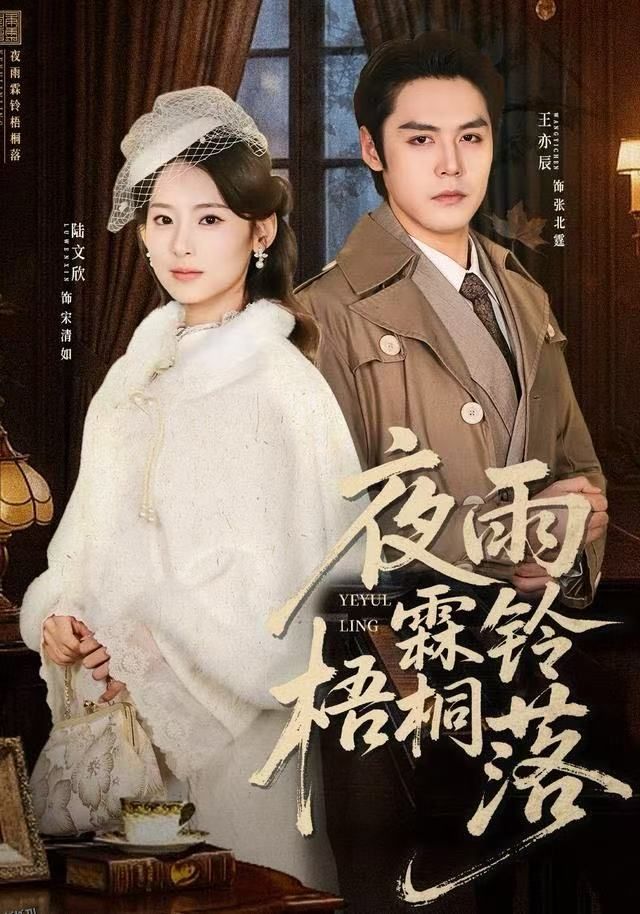 夜雨霖铃梧桐落 海报