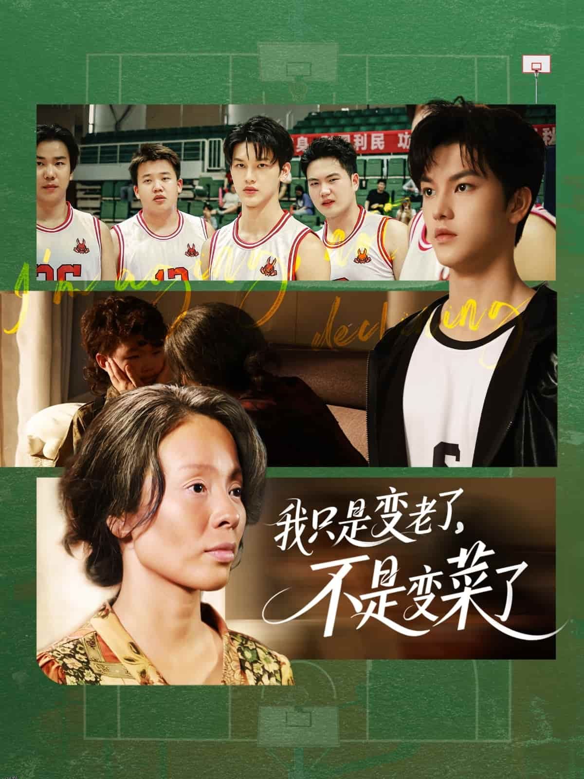 我只是变老了，不是变菜了 海报