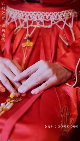 傅总的天降太子妃 海报