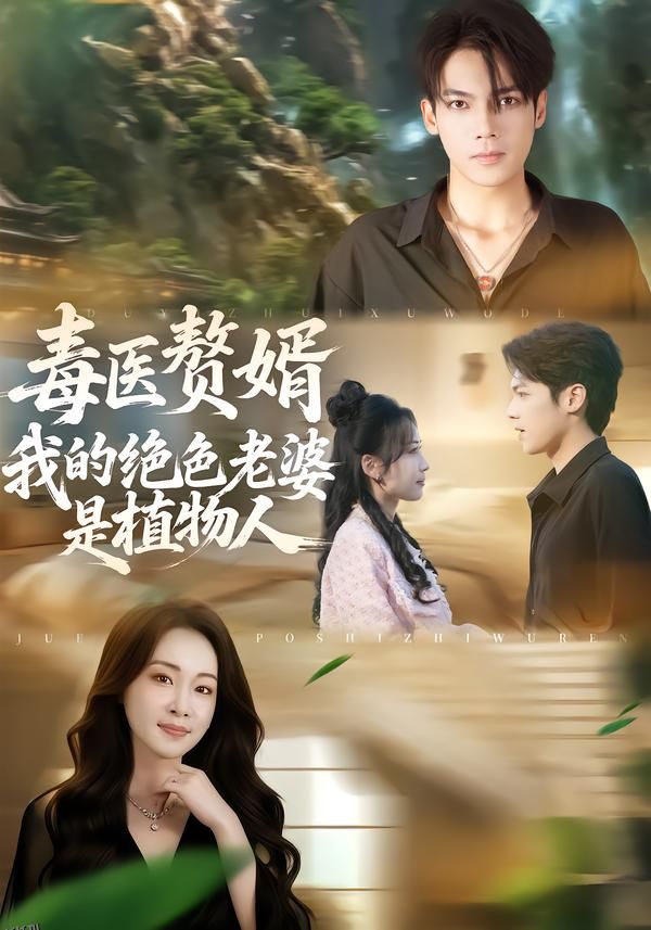 毒医赘婿：我的绝色老婆是植物人 海报